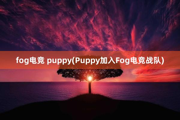 fog电竞 puppy(Puppy加入Fog电竞战队)