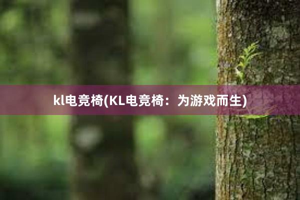 kl电竞椅(KL电竞椅：为游戏而生)