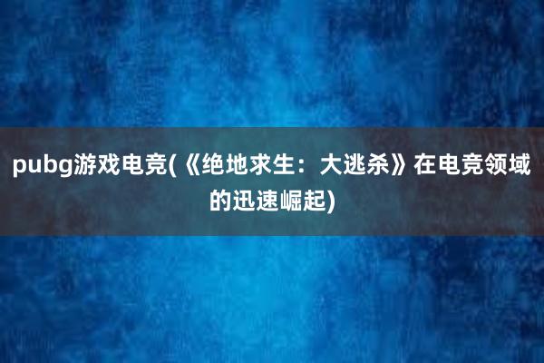 pubg游戏电竞(《绝地求生：大逃杀》在电竞领域的迅速崛起)