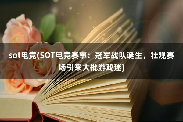 sot电竞(SOT电竞赛事：冠军战队诞生，壮观赛场引来大批游戏迷)