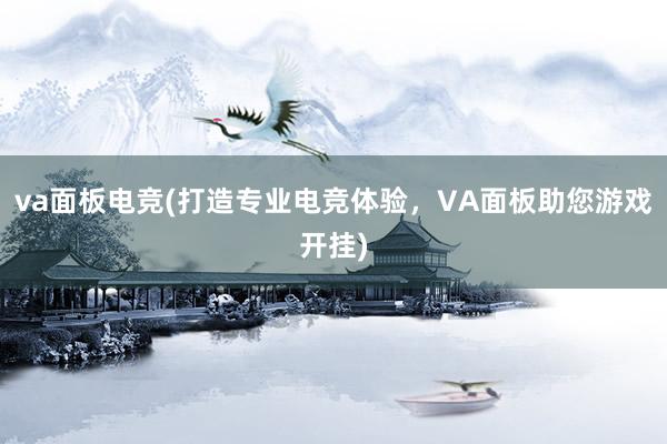 va面板电竞(打造专业电竞体验，VA面板助您游戏开挂)