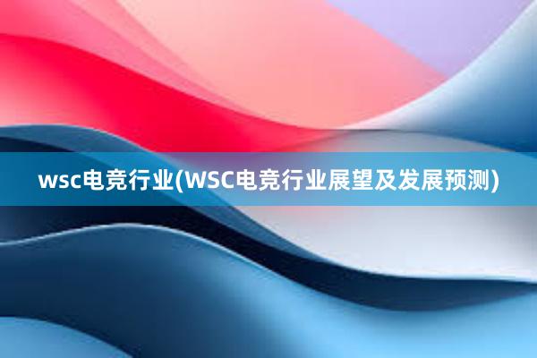 wsc电竞行业(WSC电竞行业展望及发展预测)