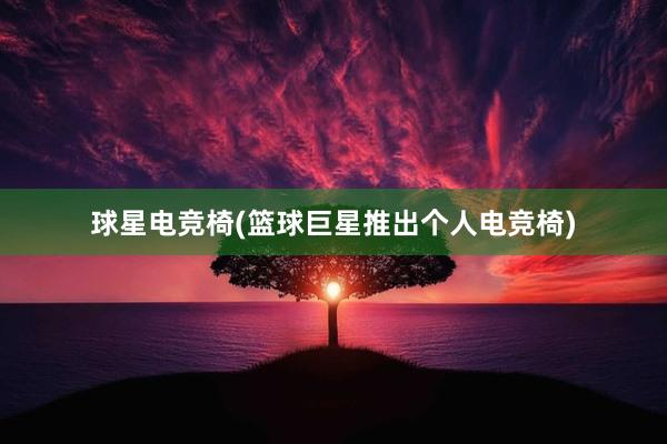 球星电竞椅(篮球巨星推出个人电竞椅)