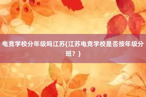 电竞学校分年级吗江苏(江苏电竞学校是否按年级分班？)