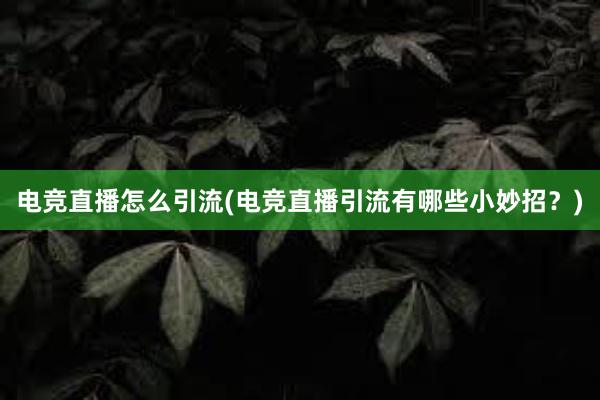 电竞直播怎么引流(电竞直播引流有哪些小妙招？)