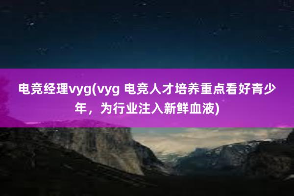 电竞经理vyg(vyg 电竞人才培养重点看好青少年，为行业注入新鲜血液)