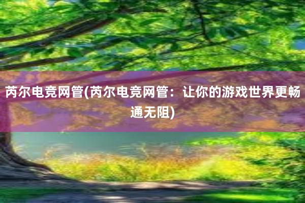 芮尔电竞网管(芮尔电竞网管：让你的游戏世界更畅通无阻)