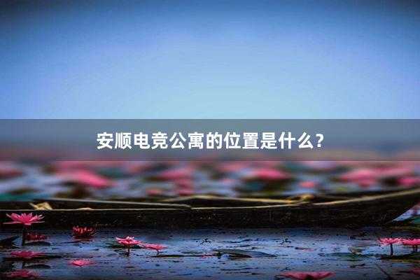 安顺电竞公寓的位置是什么？