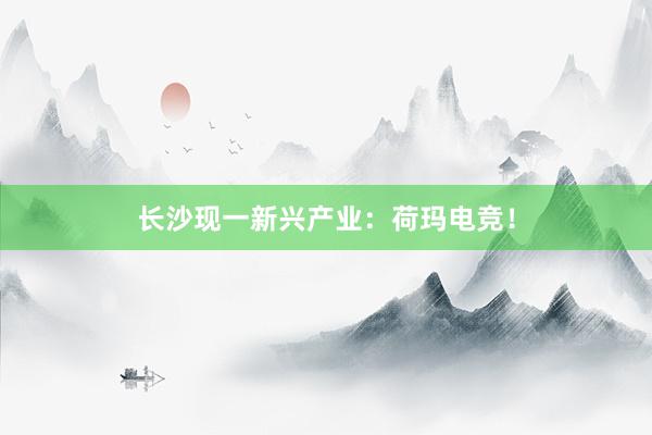 长沙现一新兴产业：荷玛电竞！