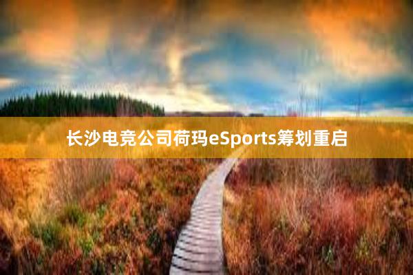 长沙电竞公司荷玛eSports筹划重启